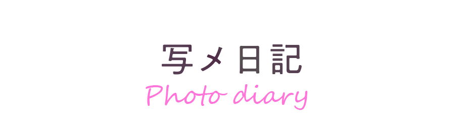 写メ日記